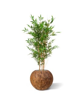 Bambú japonés planta artificial 120cm - resistente a los rayos UV