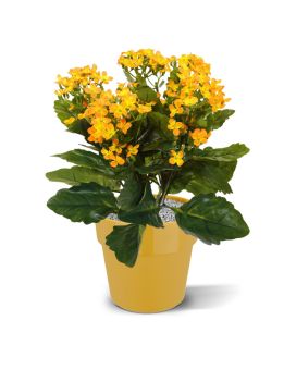 Kalanchoe planta artificial 30cm - naranja