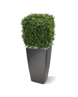 Boj artificial cuadrado 30cm - Resistente a los rayos UV