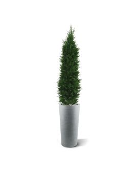 Conífera artificial deluxe 150cm - Resistente a los rayos UV