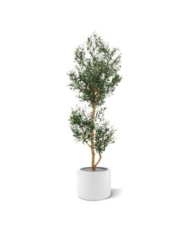 Olivo artificial promo 180cm