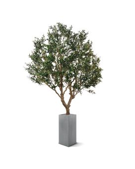 Olivo artificial XL 300 cm sobre plato