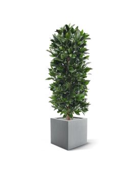 Planta artificial en columna de laurel 125cm - Resistente a los rayos UV