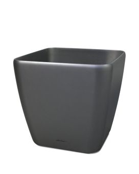 Lechuza Quadro jardinera ornamental 35x35x33 cm antracita