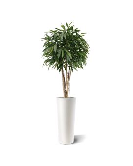 Árbol artificial Longifolia bola deluxe 180cm