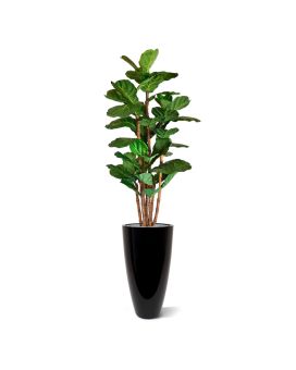 Árbol artificial Lyrata deluxe 165cm