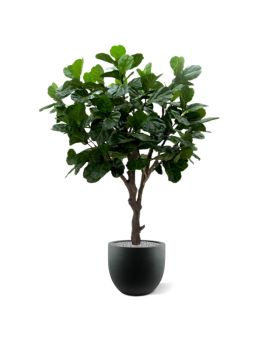 Árbol artificial Lyrata gigante 260 cm de tronco