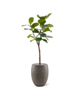 Árbol artificial Lyrata sobre tronco 120cm