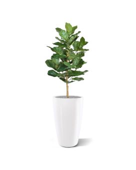 Planta artificial Lyrata Royal 90cm