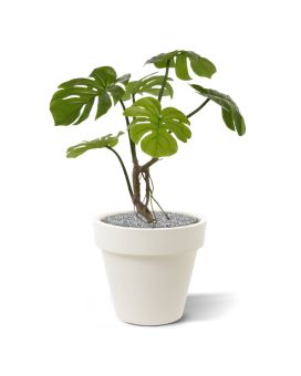 Monstera planta artificial 50cm