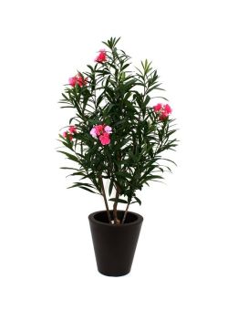 Oleander Deluxe 150cm rosa