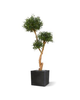 Olivo Bonsai deluxe x3 árbol artificial 160cm