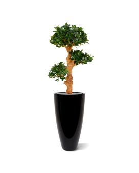 Panda Bonsai x3 árbol artificial sobre base 90cm