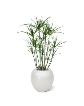 Papiro planta artificial 65cm