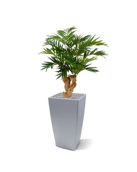 Palmera artificial de salón sobre base 65cm