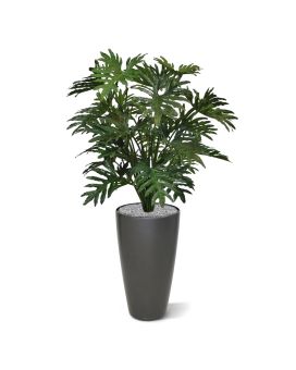 Planta artificial Philo Selloum XL 125cm