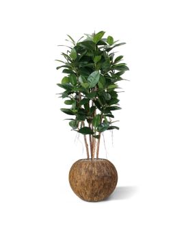 Columna de filodendro artificial 155 cm