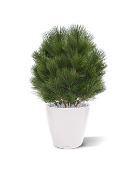 Planta artificial bulbo de pino 60cm - resistente a los rayos UV