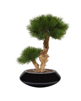 Pinus Bonsai árbol artificial sobre base 55cm - Resistente a los rayos UV