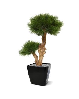 Pinus Bonsai árbol artificial sobre base 55cm