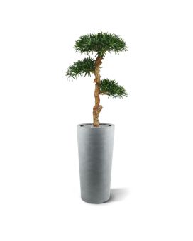 Bonsái artificial Podocarpus 120 cm