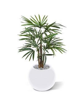 Raphis palma artificial 75cm