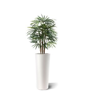 Raphis palma artificial de lujo 100cm