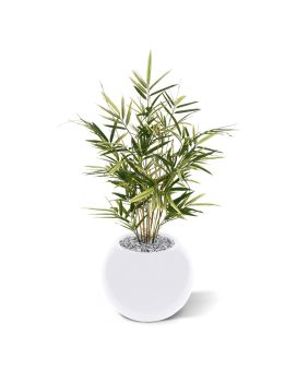 Royal Bamboo planta artificial 70cm - abigarrado