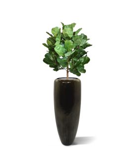 Planta artificial bulbo Royal Lyrata deluxe 105 cm