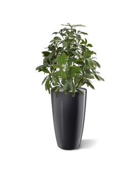 Schefflera planta artificial 50 cm anti-UV