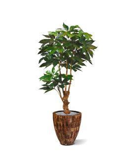 Árbol artificial Scheflera Amate deluxe 165cm