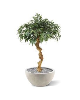 Bonsái artificial Shirakashi sobre tallo 100cm