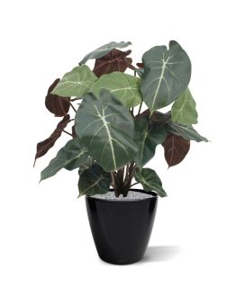 Syngonium planta artificial 60cm