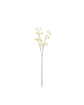 Rama de Tweedia Oxypetalum 68cm Amarillo