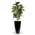 Árbol artificial Lyrata deluxe 170cm FR