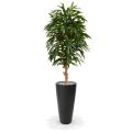 Árbol artificial Longifolia Royal deluxe 165cm