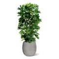 Schefflera columna planta artificial 120cm