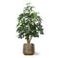 Planta artificial Schefflera Exotica 120 cm