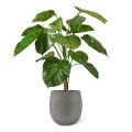 Pothos planta artificial de lujo 90cm