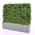 Seto artificial Hedera 80x25x56cm - Resistente a los rayos UV