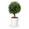 Planta artificial bulbo de boj deluxe 25cm