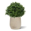 Planta artificial bulbo de boj de lujo N 40cm - Resistente a los rayos UV