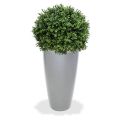Buxus Bulbo de lujo planta artificial 60cm - N