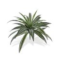 Ramo artificial Draceana 40 cm verde-variegado