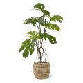 Monstera planta artificial 70cm