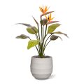 Ramo de Strelitzia artificial 75 cm