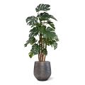 Planta artificial Monstera deluxe x5 - 180cm