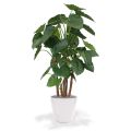 Alocasia Calidora planta artificial deluxe 165cm
