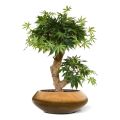 Acer Bonsai árbol artificial 60cm - verde