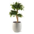 Bonsái artificial Acer 95 cm verde